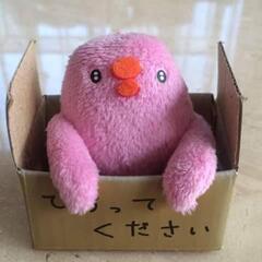 🐻札幌、近郊のメンバー募集中🐰