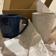 コスタノバ　マグカップ2個