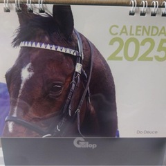 Gallop 2025年 卓上カレンダー
