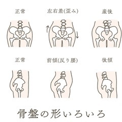 こころと腸がととのう"骨盤調整クラス"体験会の画像
