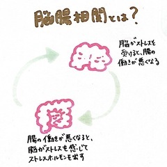 こころと腸がととのう"骨盤調整クラス"体験会の画像