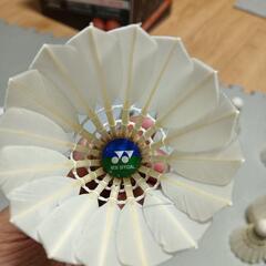 バドミントンYONEXシャトルの画像
