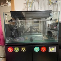 GEX製 美品 規格外水槽
