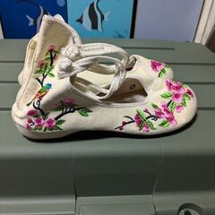 アジアンな靴の画像