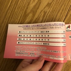 早い者勝ち！値下げました！セール中！お買い得✨ハワイアンズ優待券3枚セットの画像