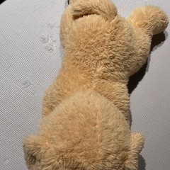 犬のぬいぐるみ　コストコの画像