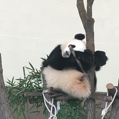 友達求むっ！ - 京都