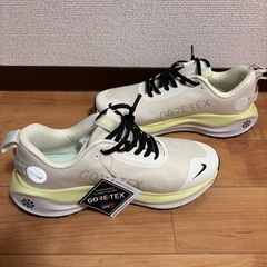 NIKE REACTX INFINITY RN 4 GTX ナイ...