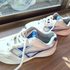 24㌢、24.5㌢上履き　ムーンスターの画像