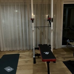 WASAI ぶら下がり健康器　HD5005
