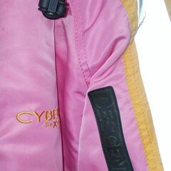 DESCENTE(デサント) cybergear レディースジャンパーの画像