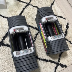 可変式ダンベル40kg
