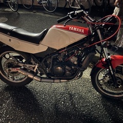YAMAHA RZ250R