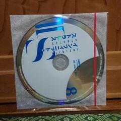 インフィニット・ストラトス 8 弓弦イズル DVD付特装版の画像