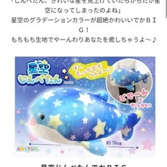 【未使用品】星空じんべたんでかＢＩＧ ジンベエザメ、ぬいぐるみの画像