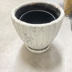 鉢植えの鉢　無料　鹿児島中央駅　上之園町の画像