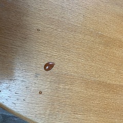 ハイチェア　の画像