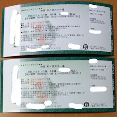 妙高杉ノ原　リフト・ゴンドラ1日券　２枚
