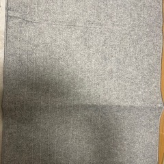 SANYO ホットカーペット SYC-CG10Eの画像
