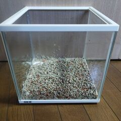 GEX25ｃｍキューブ水槽　砂利付き