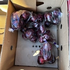 紫玉ねぎ
