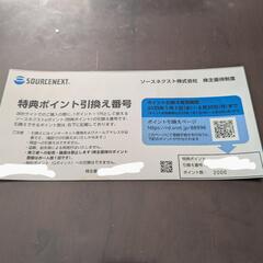 SOURCENEXT 株主優待 ポイント券