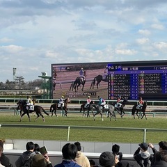 競馬好きとつながりたい😊競馬が好き、競馬に興味がある方と仲良くしたいと思います！ - 友達