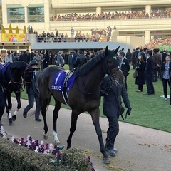 競馬好きとつながりたい😊競馬が好き、競馬に興味がある方と仲良くしたいと思います！ - 杉並区