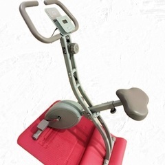 【75％OFF】アルインコ(ALINCO) フィットネスバイク ...