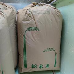 2024年(令和6年産)コシヒカリ🍙13kg(1kg=600円)