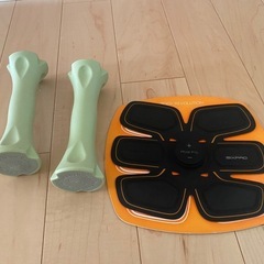 アブズフィット（1）とおまけ