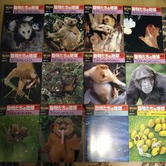 動物たちの地球　　37〜48