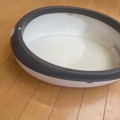 猫　トイレ