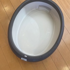 猫　トイレの画像