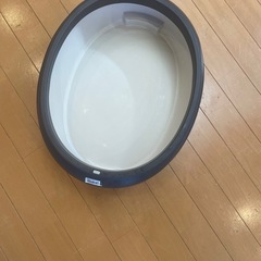猫　トイレの画像