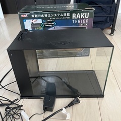 ラクテリア
