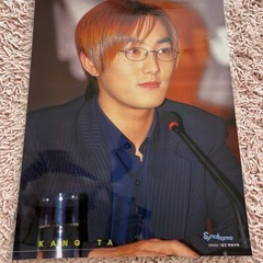 シンヘソン　rhin hye sung カンタ　Kangta 39×51センチの画像