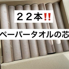 ペーパータオルの芯　２２本キッチンペーパーの芯　DIY 工作 自...