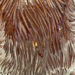 木彫り　熊　ボトルホルダーの画像