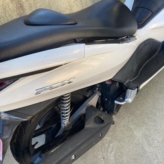 ホンダ　PCX125 1月12日お取引できる方のみ！の画像
