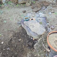 庭石②の画像