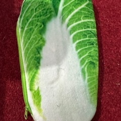 白菜風ペンケースの画像
