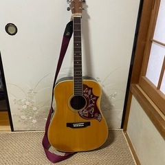 Morris ギター　W-20