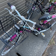 ブリヂストン ワイルドベリー　子供自転車 20インチ24インチの画像