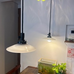 電笠の画像