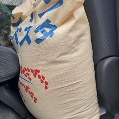  令和6年 新米 約32キロ 1俵