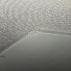 【無料】テーブル天板 八角形の画像