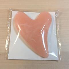 新品　カッサ