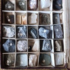 【中古】顕微鏡/標本32種/クロッキー等３種