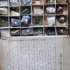 【中古】顕微鏡/標本32種/クロッキー等３種の画像